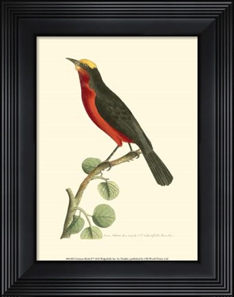 Framed Crimson Birds II Print