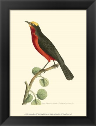 Framed Crimson Birds II Print