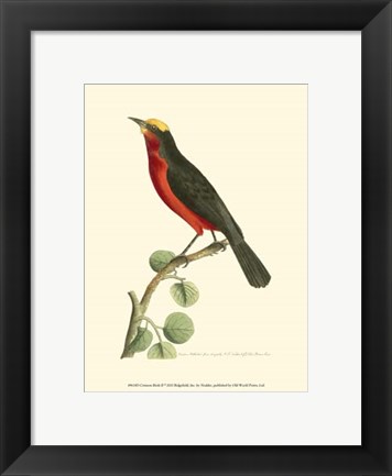 Framed Crimson Birds II Print