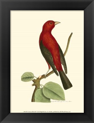 Framed Crimson Birds III Print