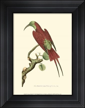 Framed Crimson Birds IV Print