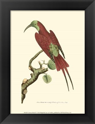 Framed Crimson Birds IV Print