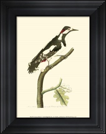 Framed Crimson Birds V Print