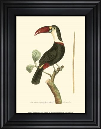 Framed Crimson Birds VI Print
