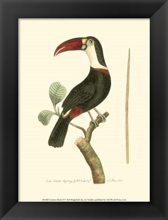 Framed Crimson Birds VI Print