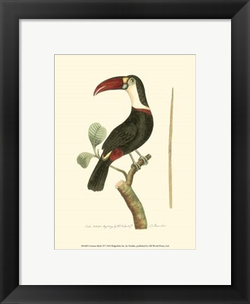 Framed Crimson Birds VI Print