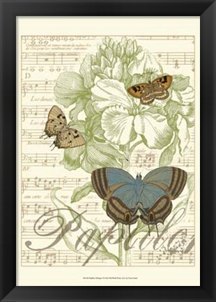 Framed Papillon Melange I Print
