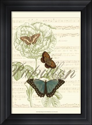 Framed Papillon Melange II Print