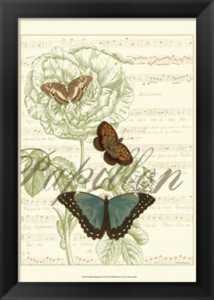 Framed Papillon Melange II Print