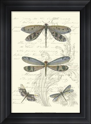 Framed Dragonfly Delight I Print