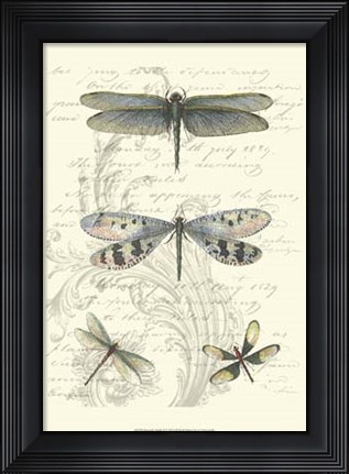 Framed Dragonfly Delight II Print