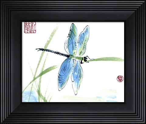 Framed Dragonfly Print
