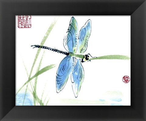 Framed Dragonfly Print