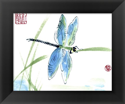 Framed Dragonfly Print