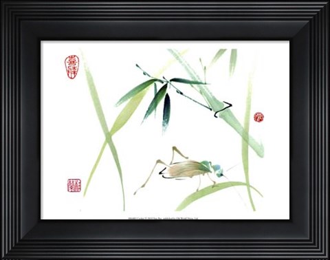 Framed Cricket Print