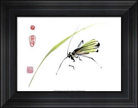 Framed Grasshopper Print