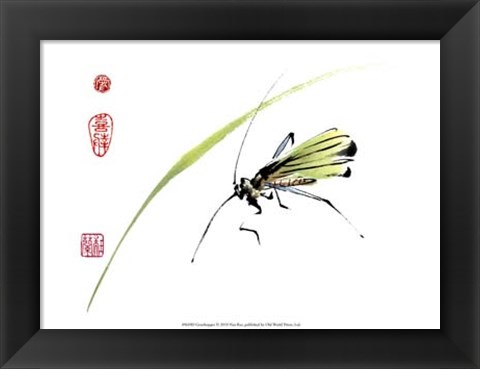 Framed Grasshopper Print