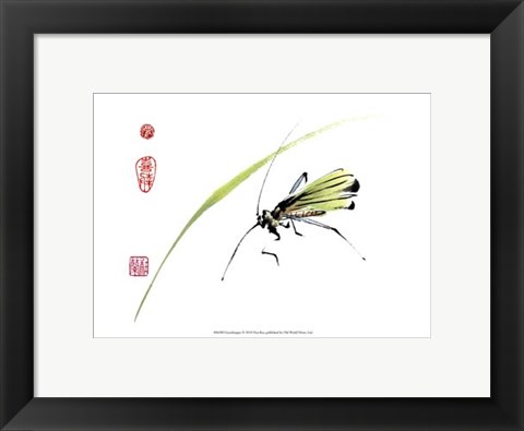 Framed Grasshopper Print