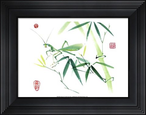 Framed Mantis Print