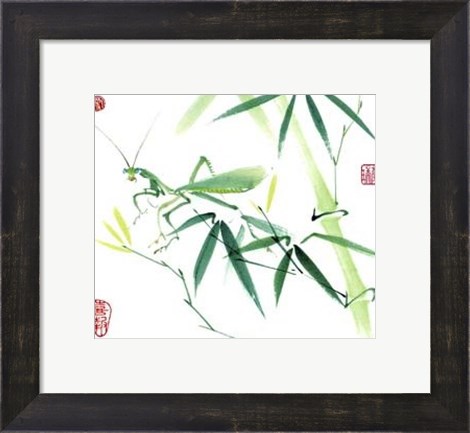 Framed Mantis Print