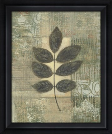 Framed Leaf Textures II Print