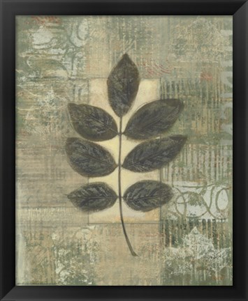 Framed Leaf Textures II Print