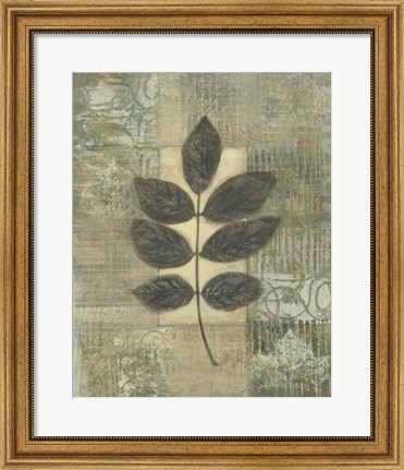 Framed Leaf Textures II Print