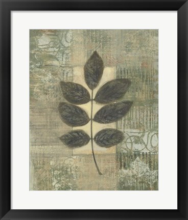 Framed Leaf Textures II Print