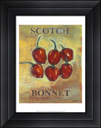 Framed Scotch Bonnet Print