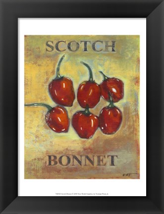 Framed Scotch Bonnet Print