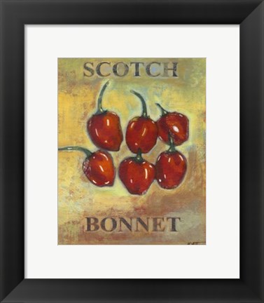 Framed Scotch Bonnet Print