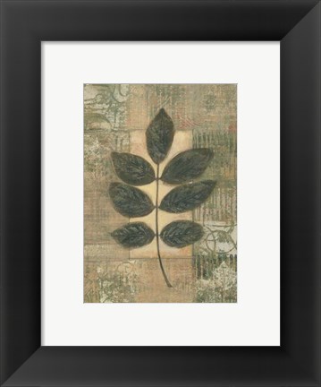 Framed Leaf Textures II Print