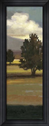 Framed Mountain Range IV Print