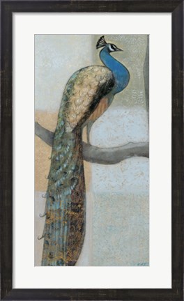 Framed Resting Peacock I Print