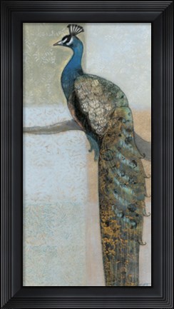 Framed Resting Peacock II Print