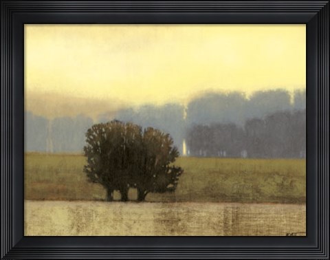 Framed Villa Park I Print