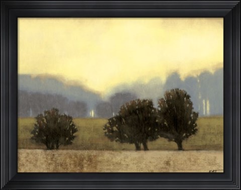 Framed Villa Park II Print