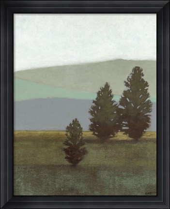 Framed Evergreen II Print