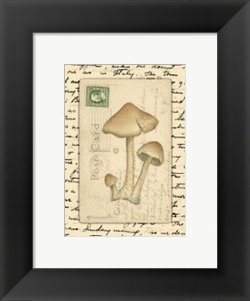 Framed Mushrooms I Print