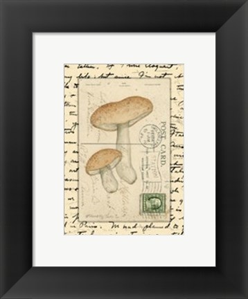 Framed Mushrooms II Print