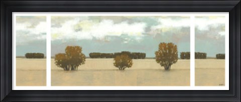 Framed Panoramic Scent of Rain Print