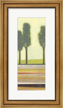 Framed Park II Print