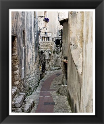 Framed Cobbled Walkway II Print