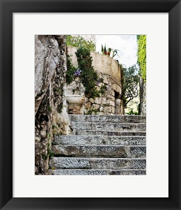 Framed Cobbled Walkway III Print