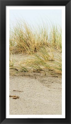 Framed Dunes I Print