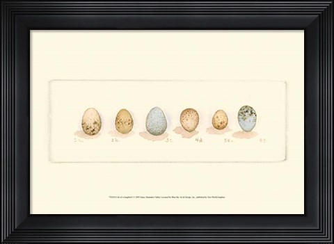 Framed Life of a Songbird I Print