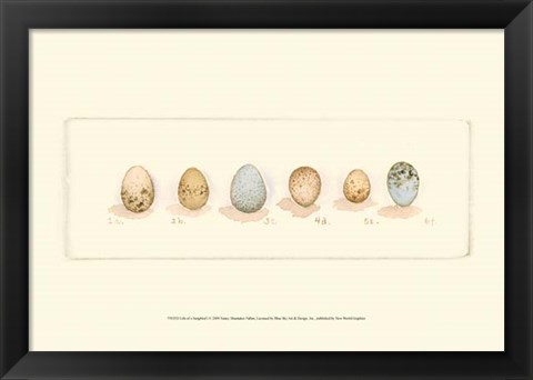 Framed Life of a Songbird I Print