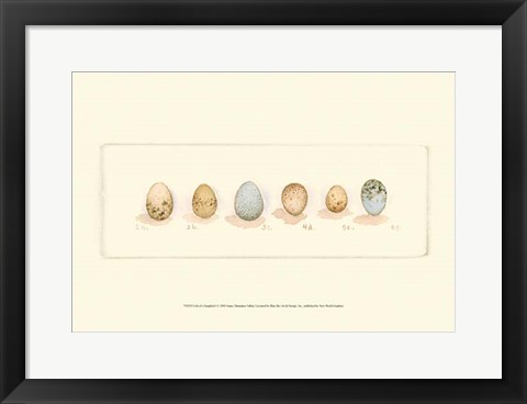 Framed Life of a Songbird I Print