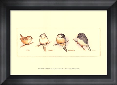 Framed Life of a Songbird III Print