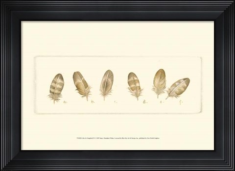 Framed Life of a Songbird IV Print